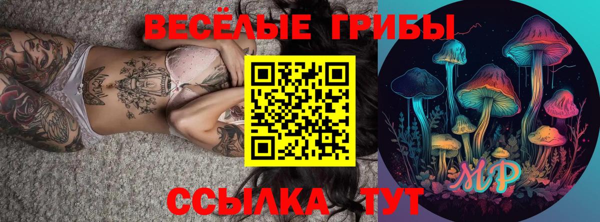 Галлюциногенные грибы MAGIC MUSHROOMS Скопин