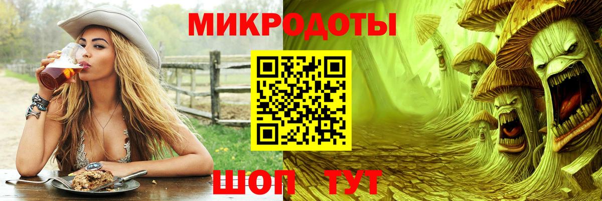 Скопин  Галлюциногенные грибы Psilocybe  Вход с VPN 